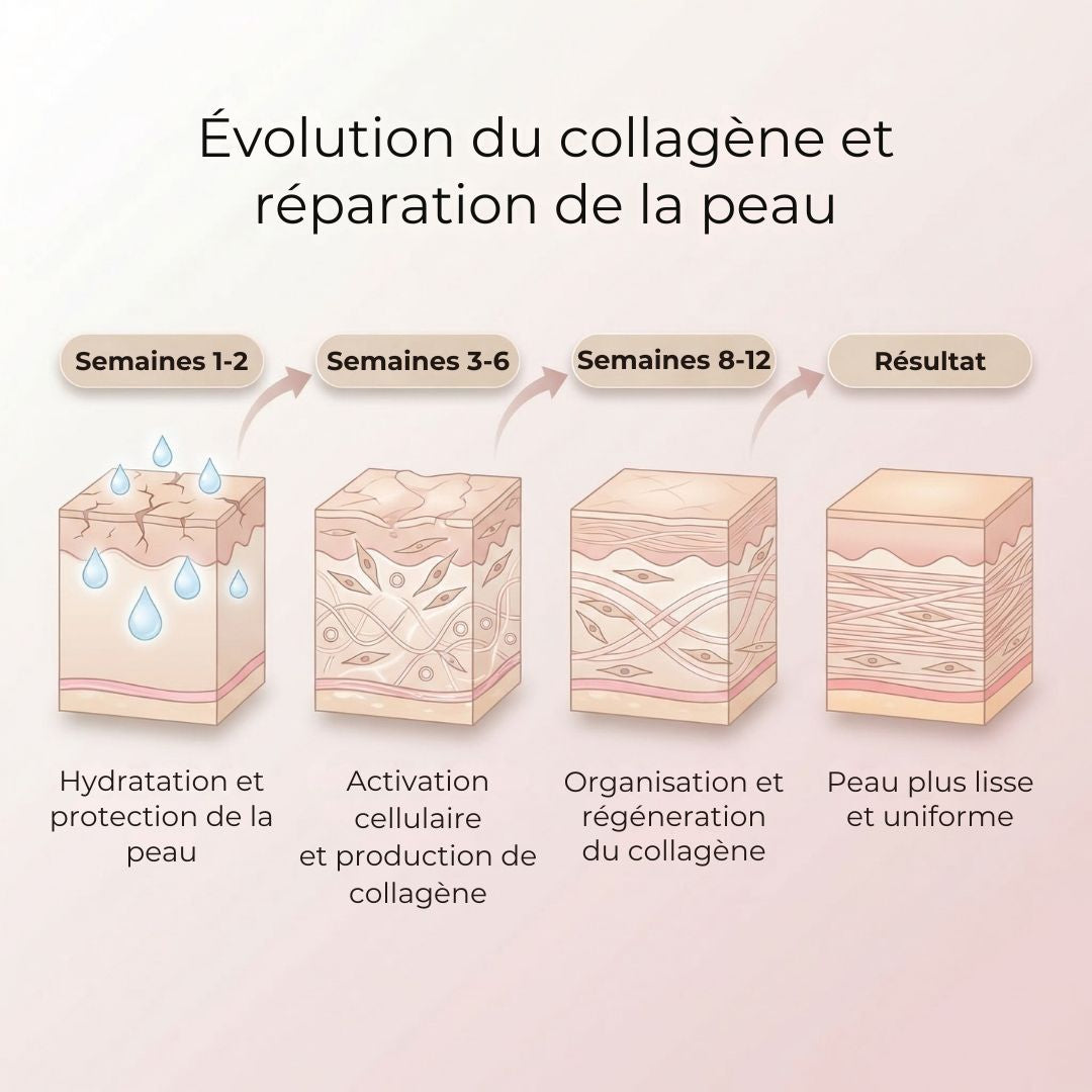 Sac de conservation à micro-barrière BeeWax® Naturel